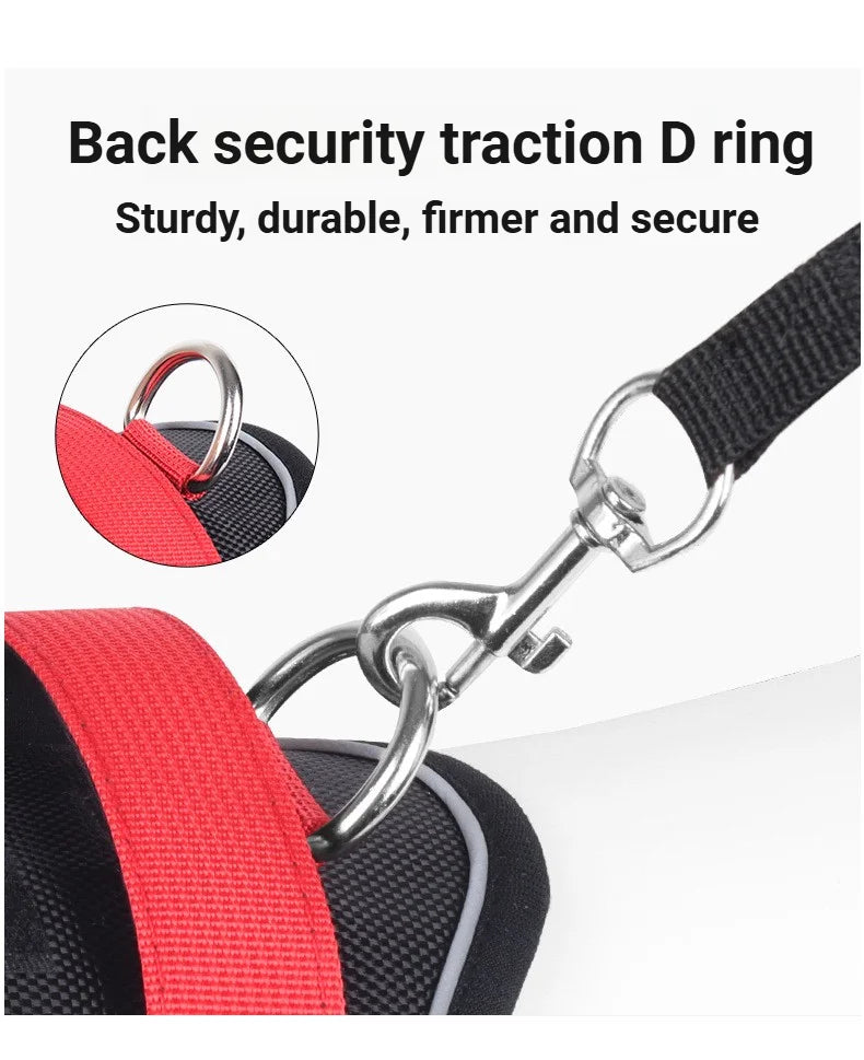 Heavy-Duty Adjustable Dog Harness with Reflective Trim & Front Handle — S to XL