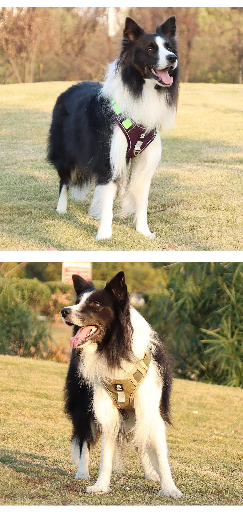 Heavy-Duty Adjustable Dog Harness with Reflective Trim & Front Handle — S to XL