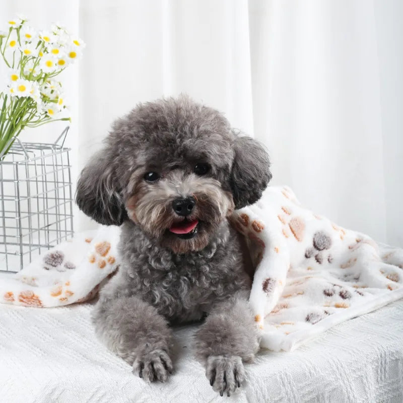 Coral Fleece Pet Blanket