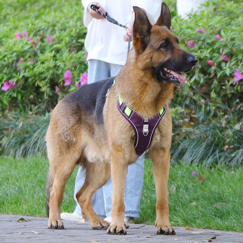 Heavy-Duty Adjustable Dog Harness with Reflective Trim & Front Handle — S to XL