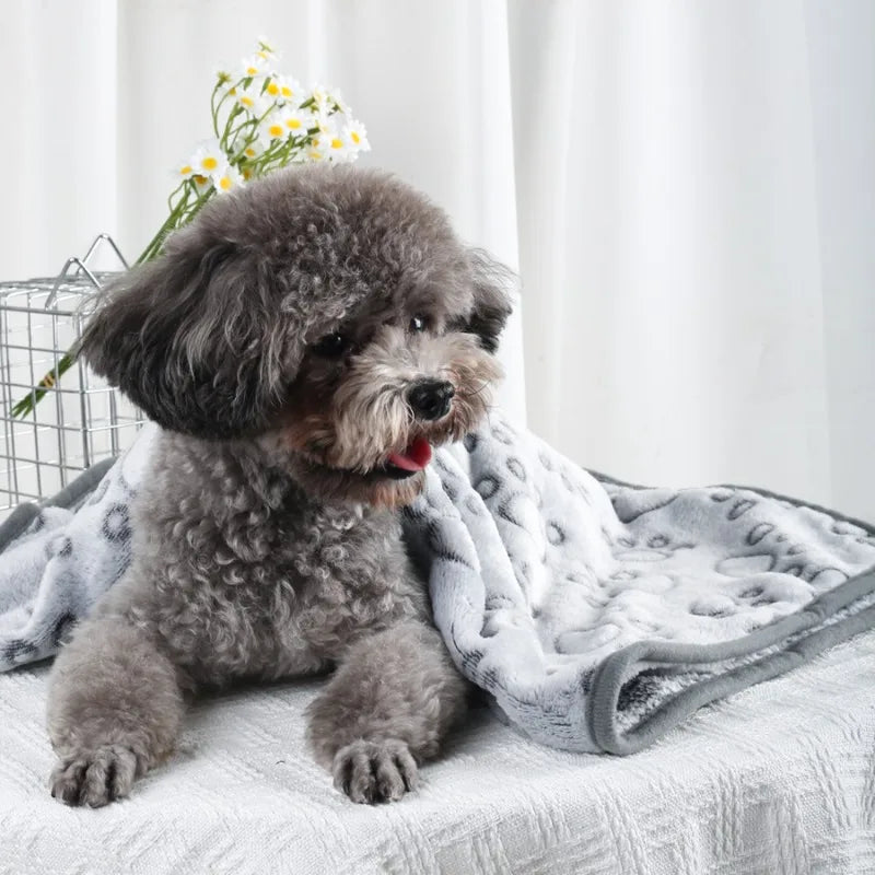 Coral Fleece Pet Blanket