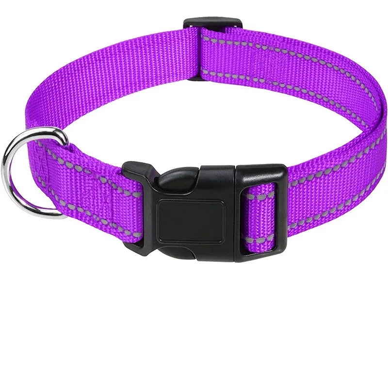 Nylon Dog Collar with Reflective Stitching — 11 Colors, XS–XL