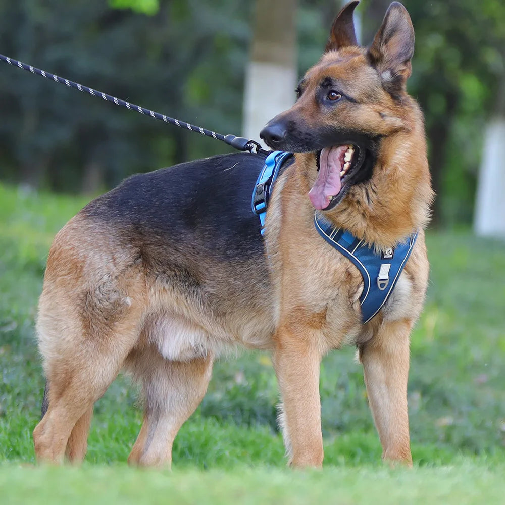 Heavy-Duty Adjustable Dog Harness with Reflective Trim & Front Handle — S to XL
