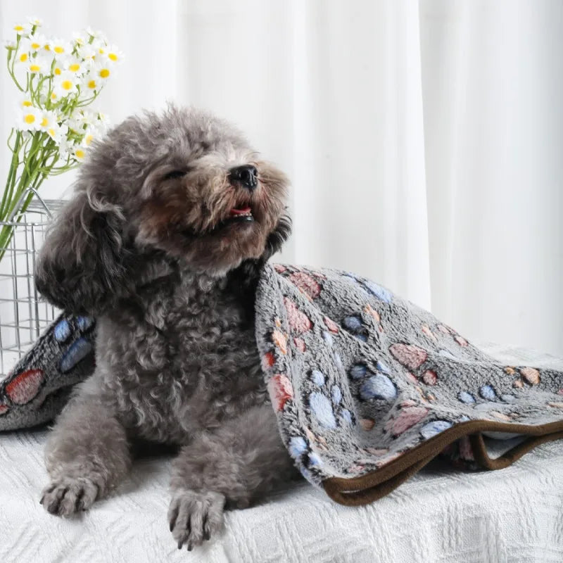 Coral Fleece Pet Blanket