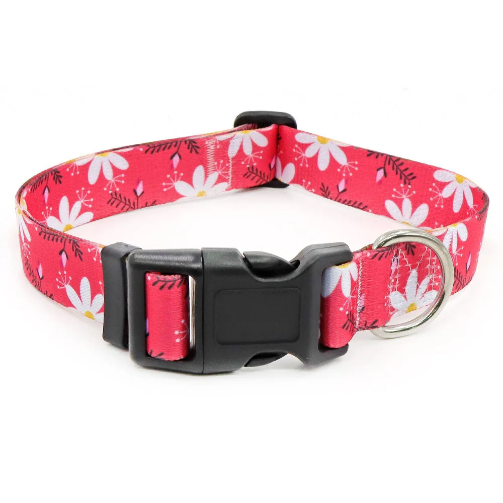 Boho Tribal & Floral Print Dog Collar