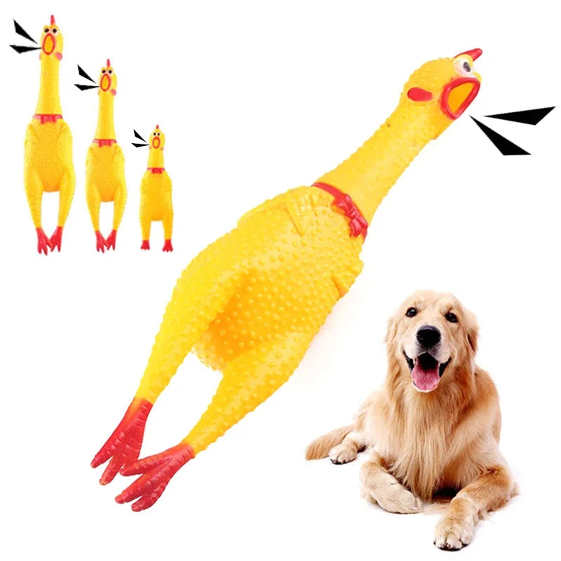 Screaming Chicken Dog Chew Toy
