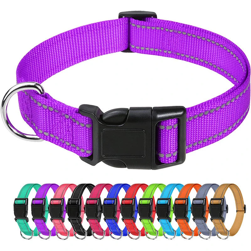Nylon Dog Collar with Reflective Stitching — 11 Colors, XS–XL