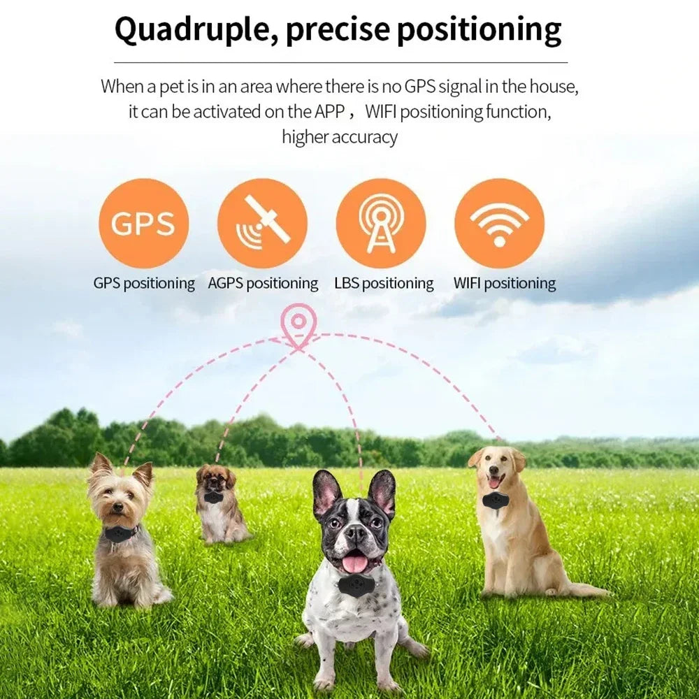 Waterproof AirTag Holder for Pet Collars