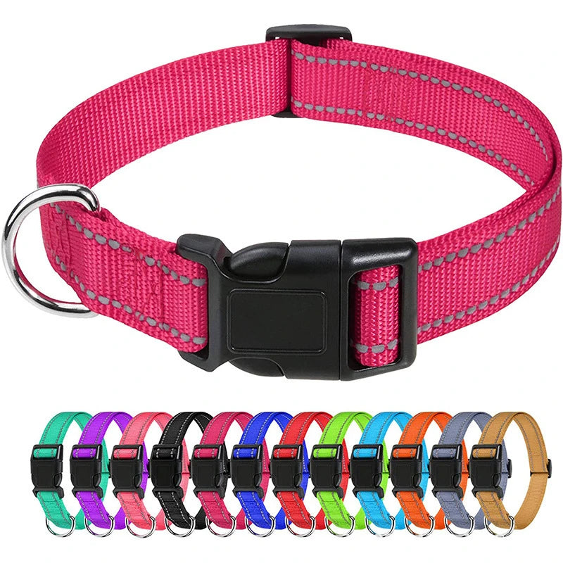 Nylon Dog Collar with Reflective Stitching — 11 Colors, XS–XL