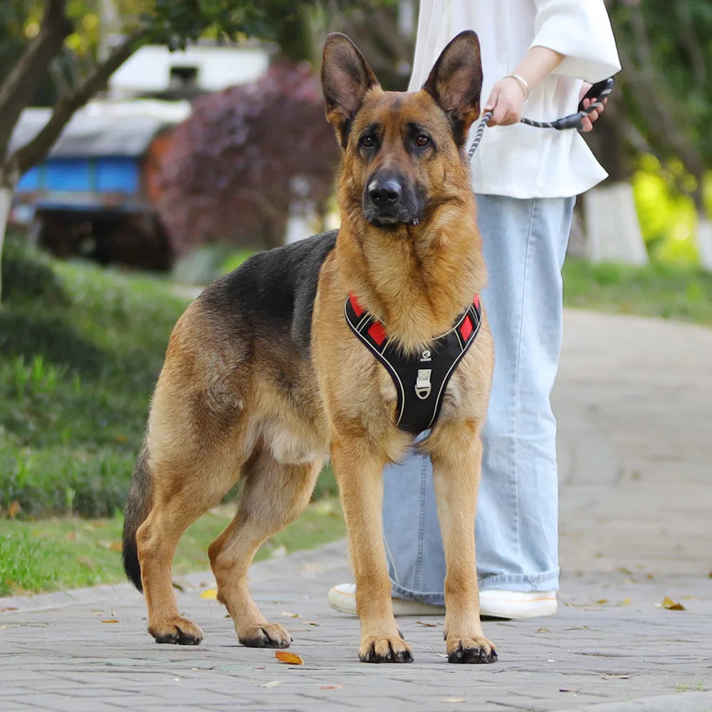 Heavy-Duty Adjustable Dog Harness with Reflective Trim & Front Handle — S to XL