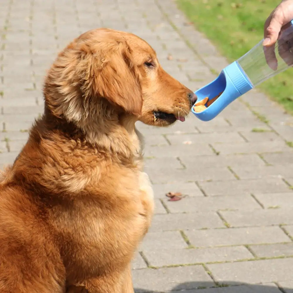 2-in-1 Portable Dog Water Bottle & Food Container