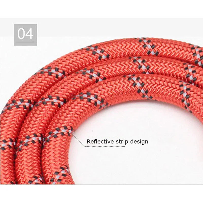 Reflective Dog Leash with Padded Handle