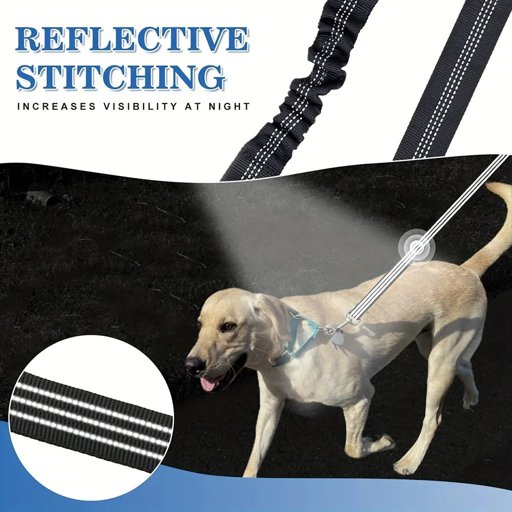Pet Dog Double Leashes Dog Leash Rope Elastic Extended Pet Leash Belt Outdoor Training for Two Double Small Medium Dogs Lead