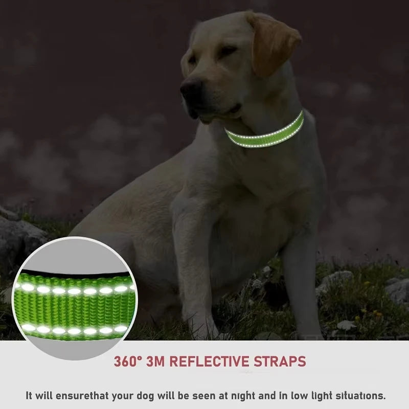 Nylon Dog Collar with Reflective Stitching — 11 Colors, XS–XL