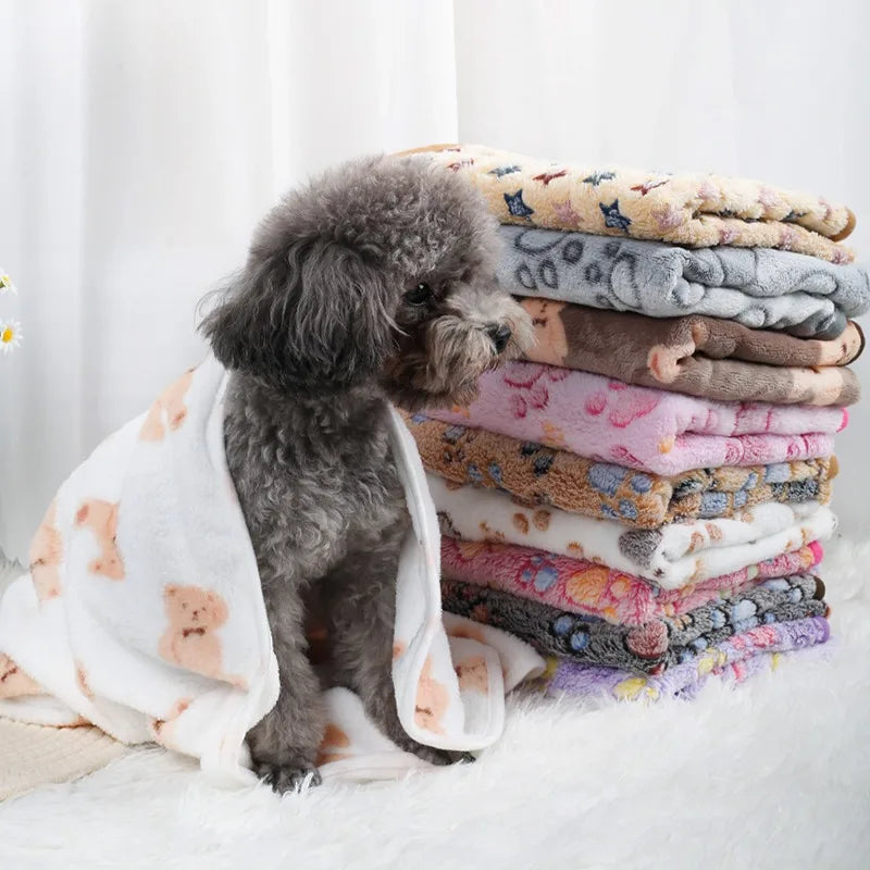 Coral Fleece Pet Blanket