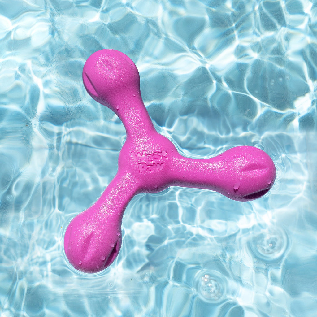 Skamp® — Zogoflex Echo® Collection Chew & Fetch Toy