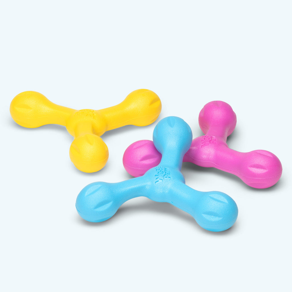 Skamp® — Zogoflex Echo® Collection Chew & Fetch Toy
