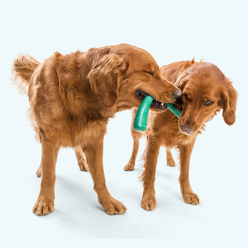 Snorkl® Seaflex® Tug Toy