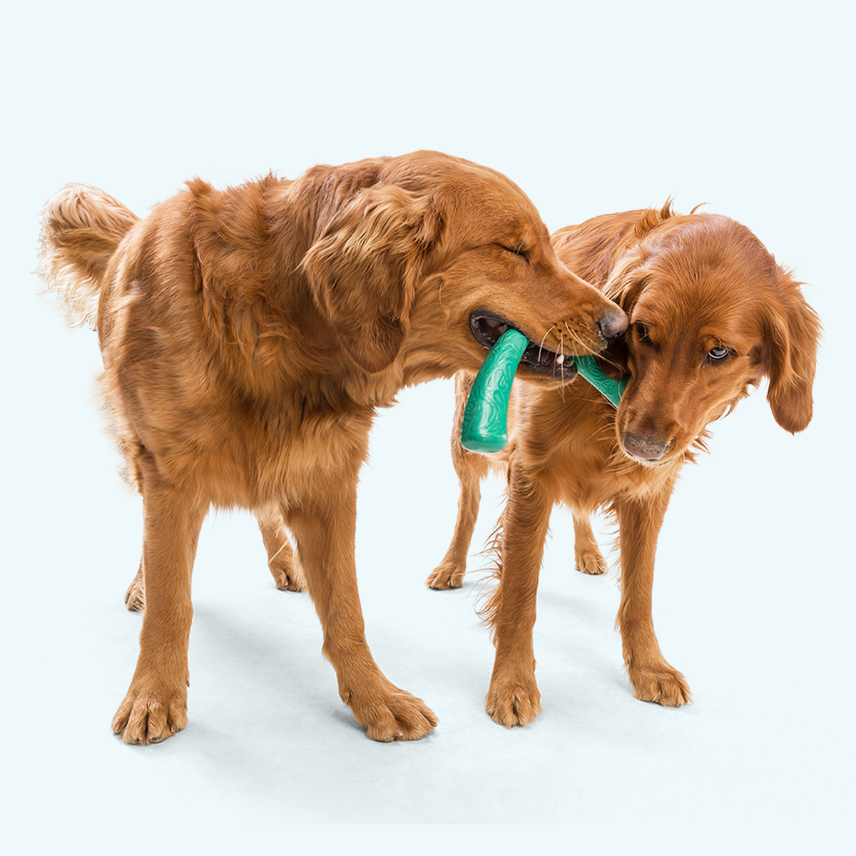 Snorkl® Seaflex® Tug Toy