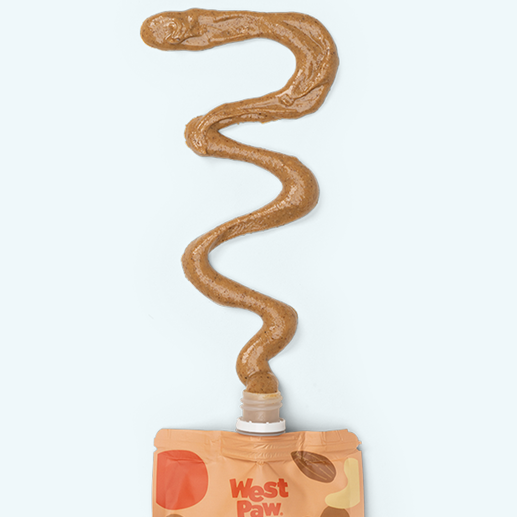 Mixed Nut Butter, Sweet Potato & Chia Creamy Dog Treat