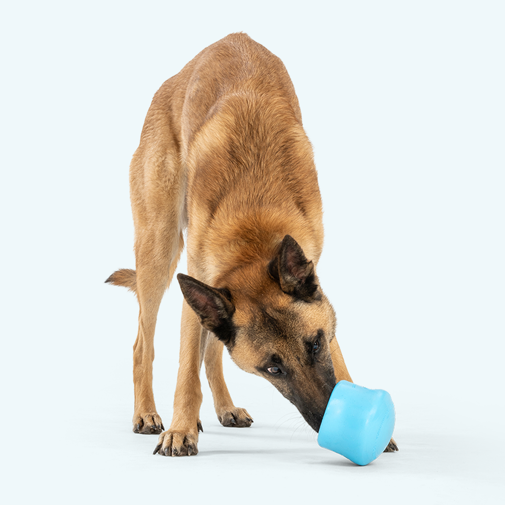 Toppl® Zogoflex® Puzzle & Treat Toy