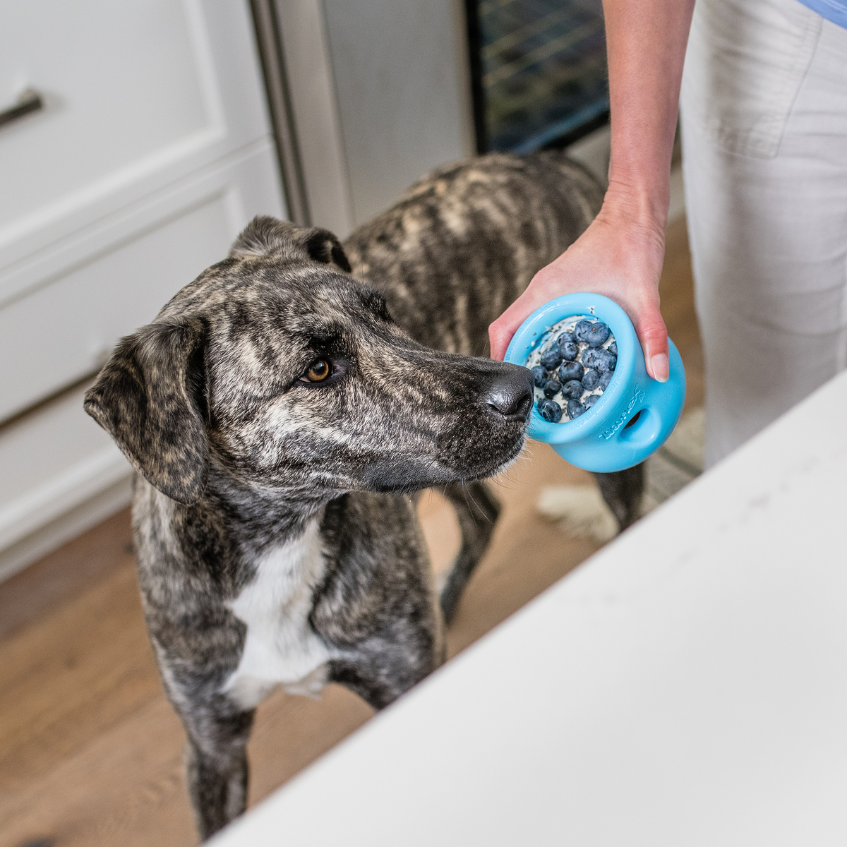 Toppl® Zogoflex® Puzzle & Treat Toy
