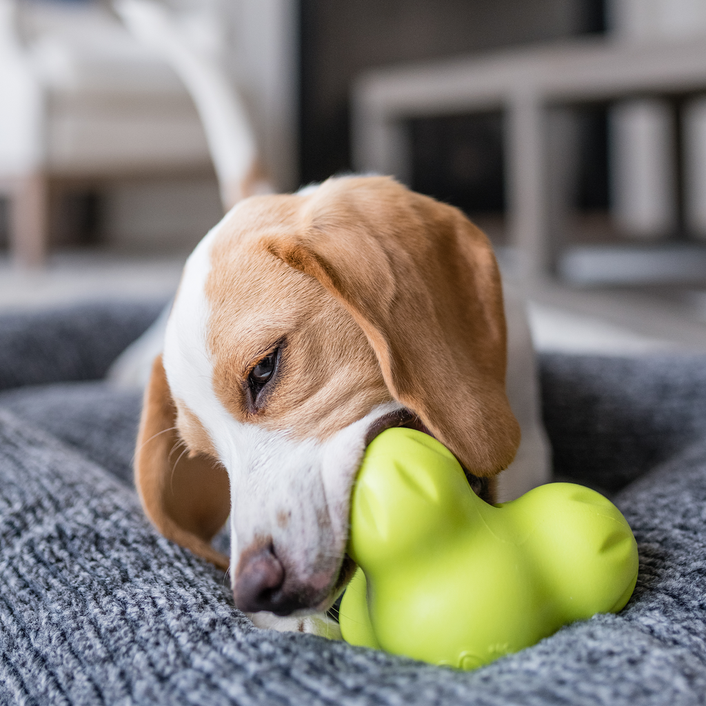 Tux— Zogoflex® Treat Toy