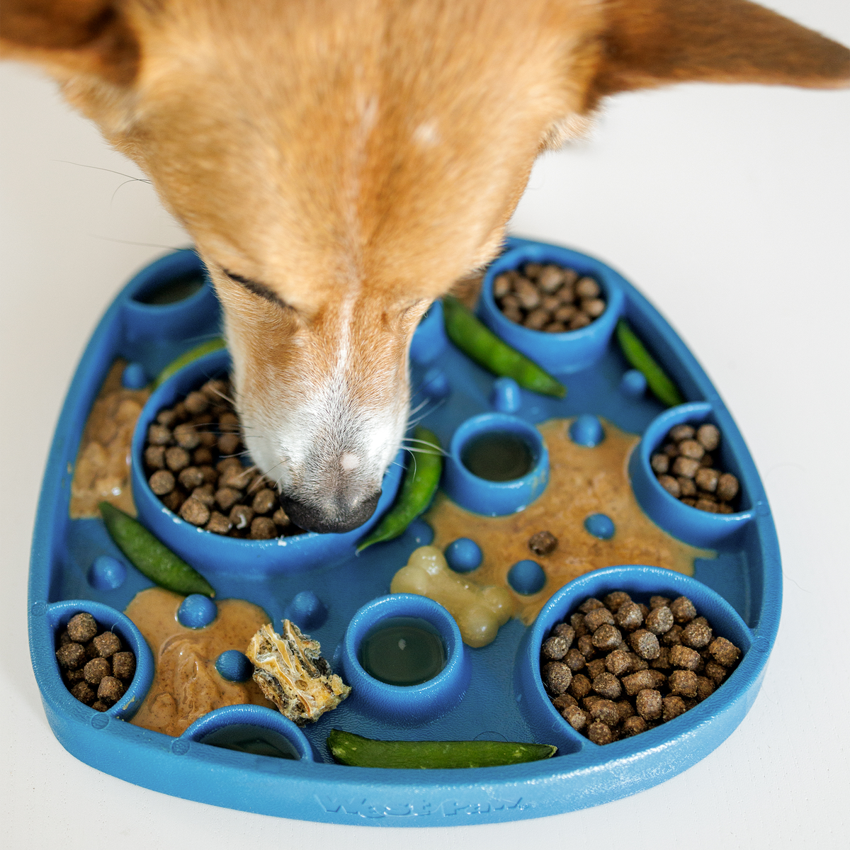 Feast Mat® Bubbles — Seaflex® Slow Feeder & Lick Mat