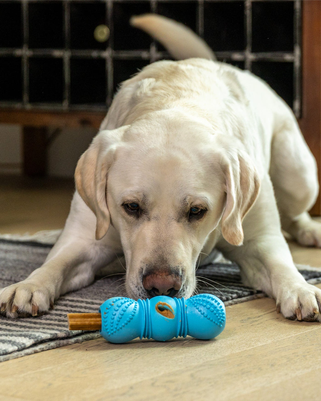 Flossr™ Zogoflex® Dental Chew & Stick Holder
