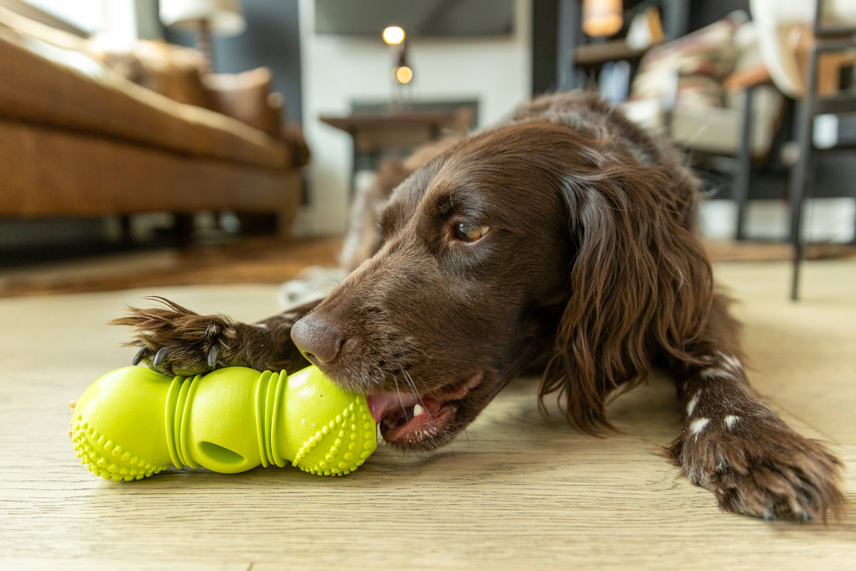 Flossr™ Zogoflex® Dental Chew & Stick Holder