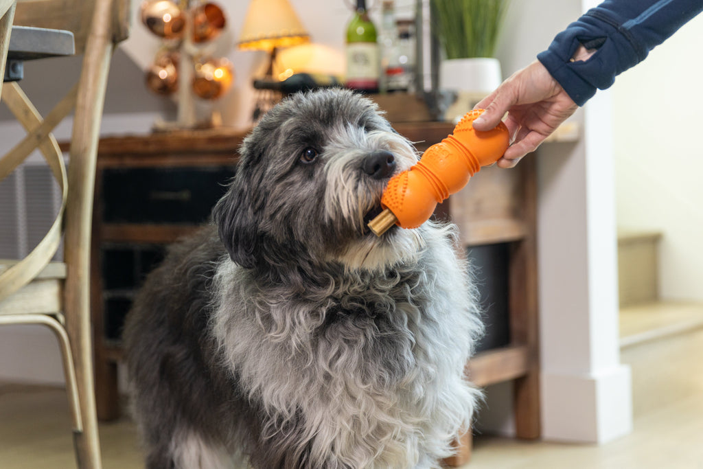 Flossr™ Zogoflex® Dental Chew & Stick Holder
