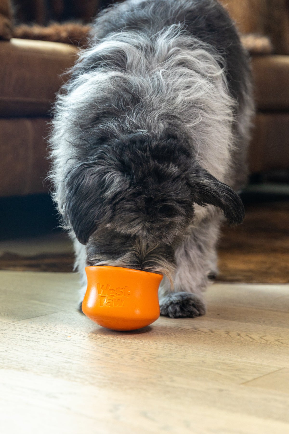 Toppl Treat — Fill & Fit Enrichment Treats