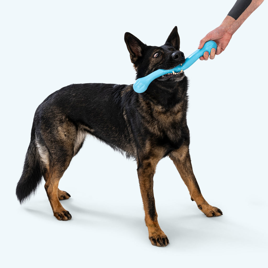 Zwig® — Zogoflex® Hollow Chew Stick for Dogs