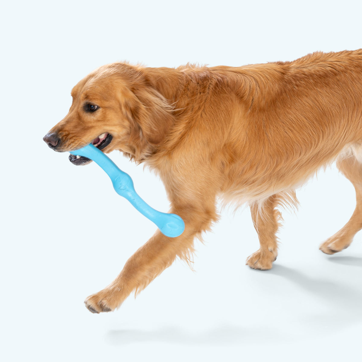 Zwig® — Zogoflex® Hollow Chew Stick for Dogs