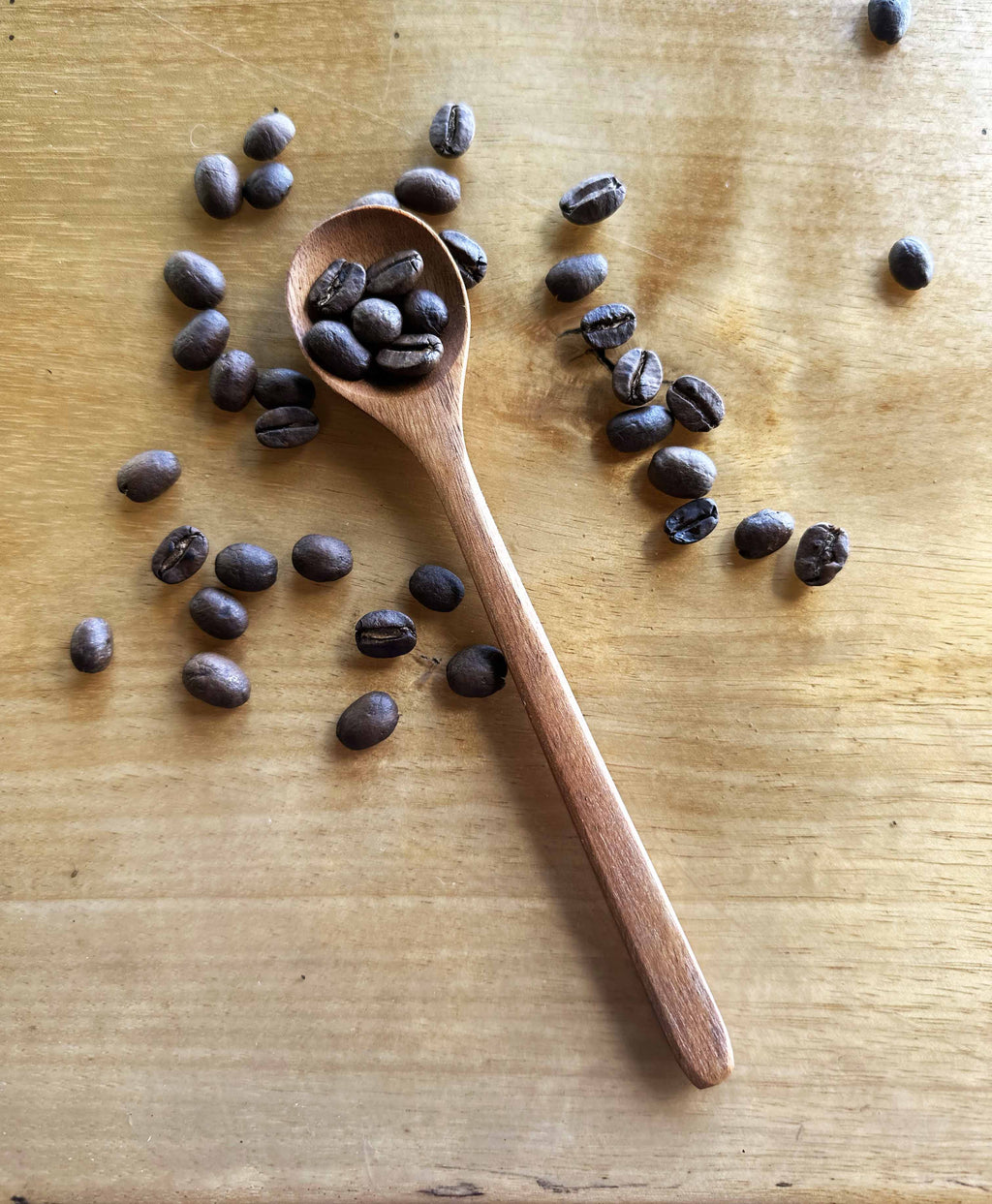 Coffee Scoop