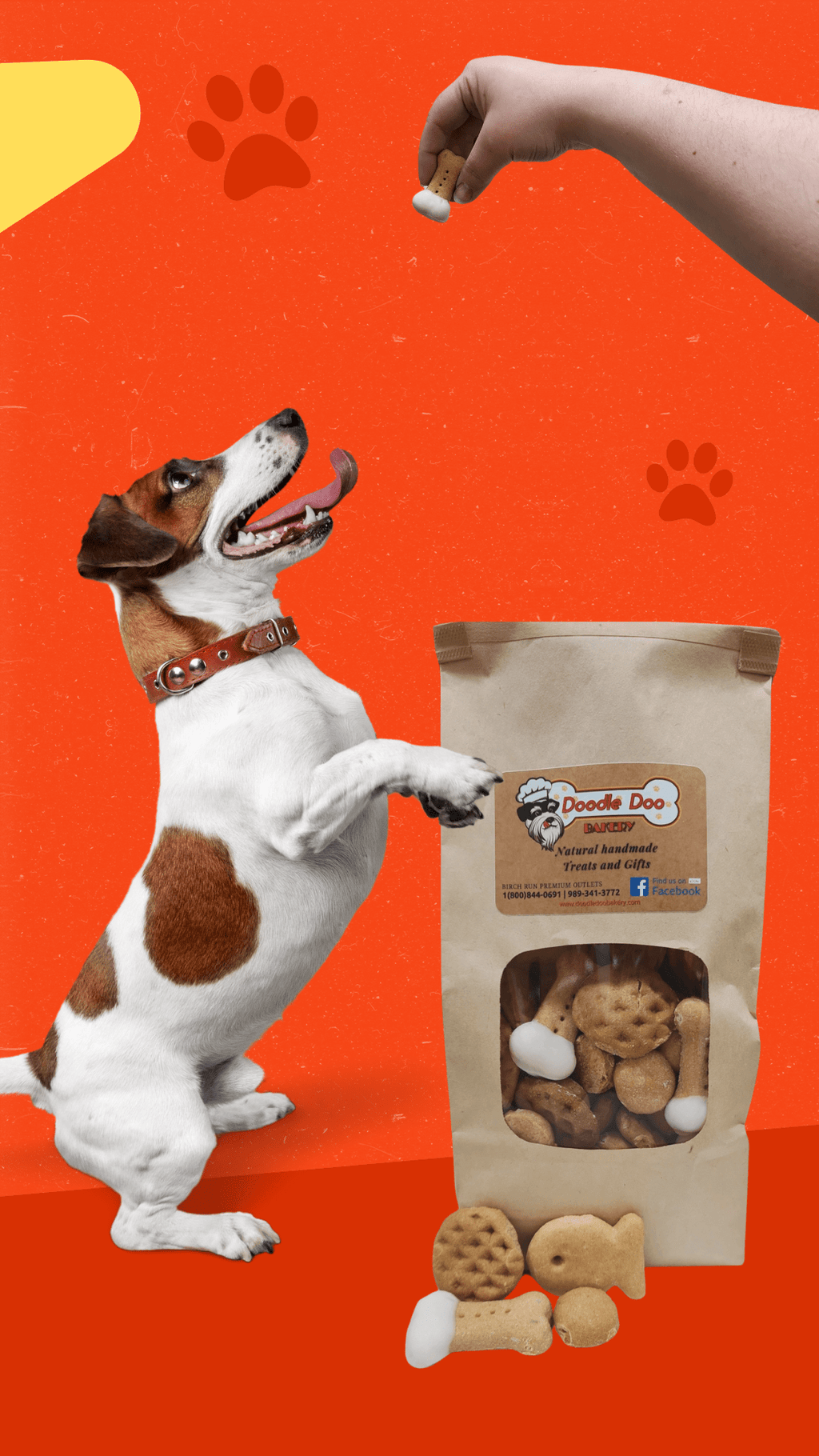 Party Bag Treat Blend — 1 lb Variety Mix, 4 Flavors